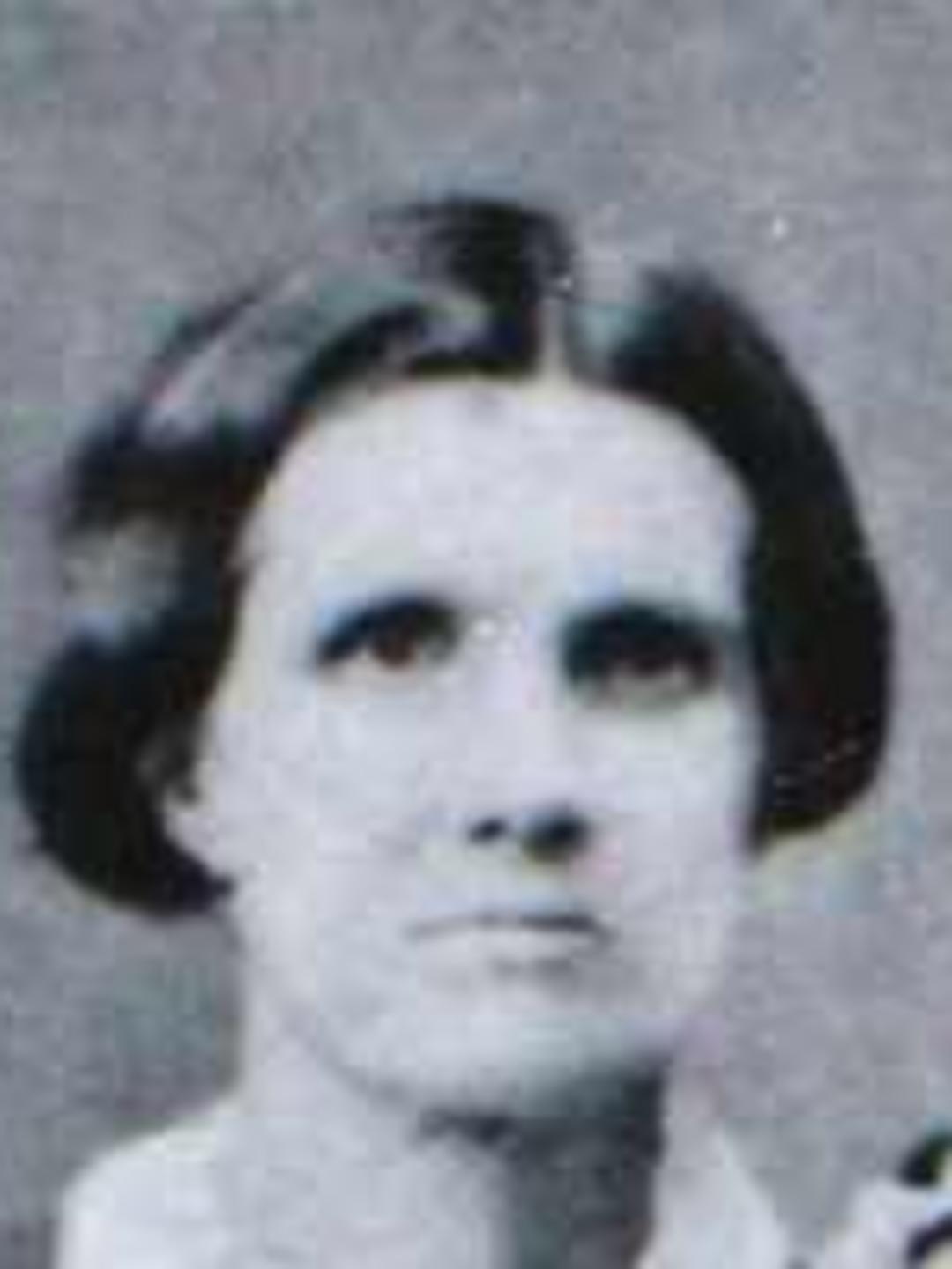 Elizabeth McAuslin (1832 - 1911) Profile
